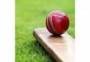 Round-up of action in the Worcestershire County Cricket League
