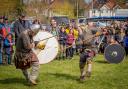 Vikings battle in Hereford. Picture: John Hardwick