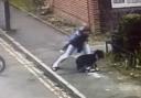 Birt was captured on CCTV attacking his dog