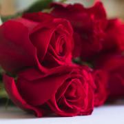 Red roses are a traditional way to let someone know how you feel on Valentine's Day