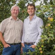 Philip and Robert Griffiths have been named apple growers of the year by Thatchers Cider. Picture: Thatchers Cider