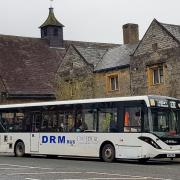 The Daffodil Line bus route was launched earlier this year