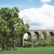 The new pathway starts at the railway viaduct, with hopes of giving residents at The Arches the ability to walk into Ledbury town centre with ease