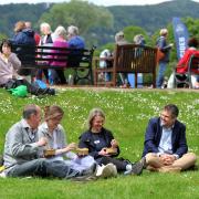 Festival Green at RHS Malvern at Three Counties Showground. Picture by Mikal Ludlow Photography