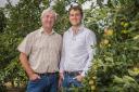 Philip and Robert Griffiths have been named apple growers of the year by Thatchers Cider. Picture: Thatchers Cider