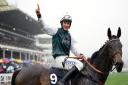 L’Homme Presse is on course for Cheltenham Gold Cup action