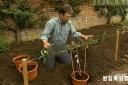 See why BBC presenter Alan Titchmarsh had to have his pants censored during an episode of his show Garden Secrets.