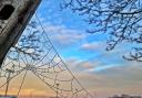Cobweb by Andreia Andreia