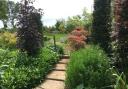 Gardens in Herefordshire village to welcome visitors again
