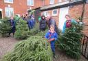Scouts collecting Christmas trees for charity