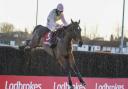 Herefordshire trainer's Cheltenham hopes lie with Royale Pigalle in Gold Cup