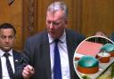Sir Bill Wiggin addressing the Commons yesterday and inset, an industrial anaerobic digester