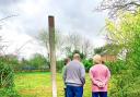 Glenn Ward and wife Esme admire their renovated garden