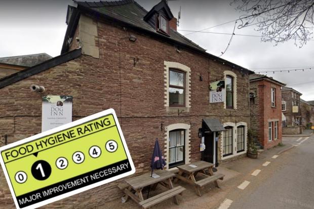 The Dog Inn in Ewyas Harold was handed a one-star food hygiene rating. Picture: Google Maps