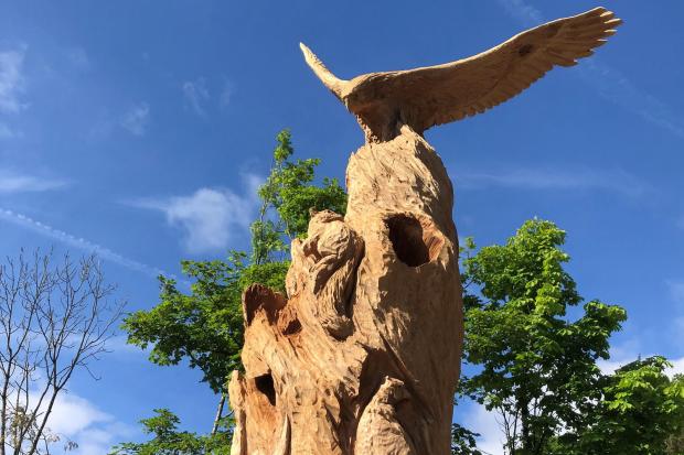 The new sculpture is made from Wellington Heath's historic Victorian jubilee tree