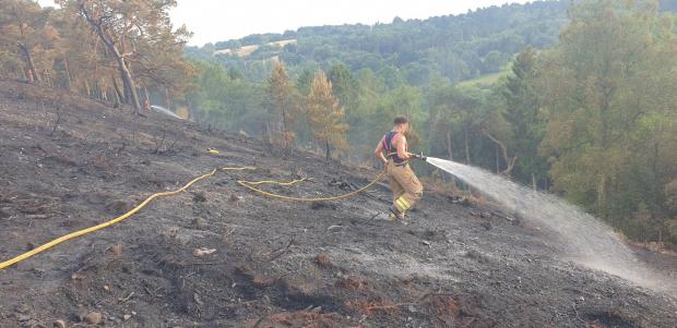 Ledbury Reporter: A fire on the Lickey Hills took firefighters three days to put out