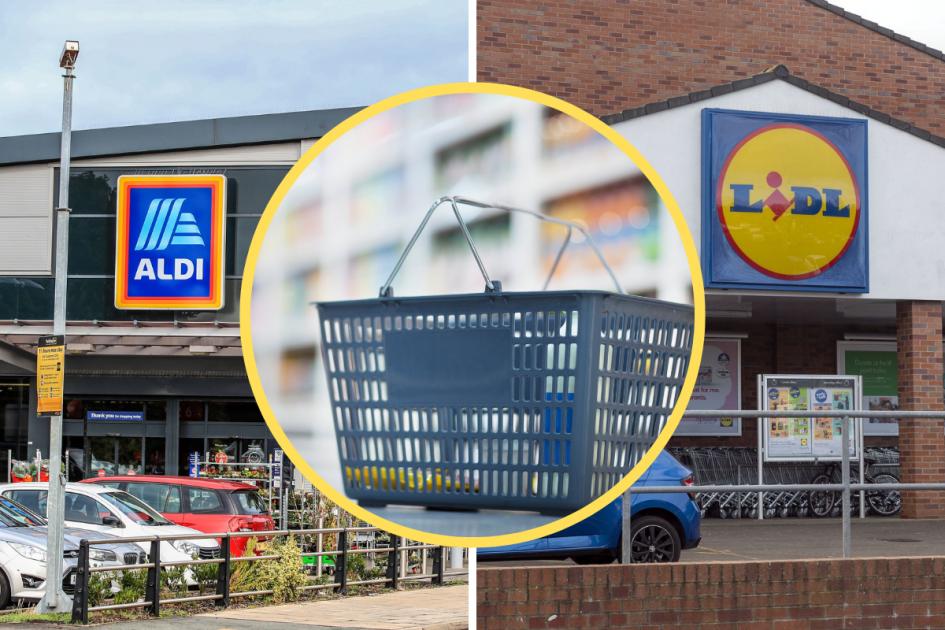 Aldi and Lidl middle aisles this week from picnic bags to DIY tools