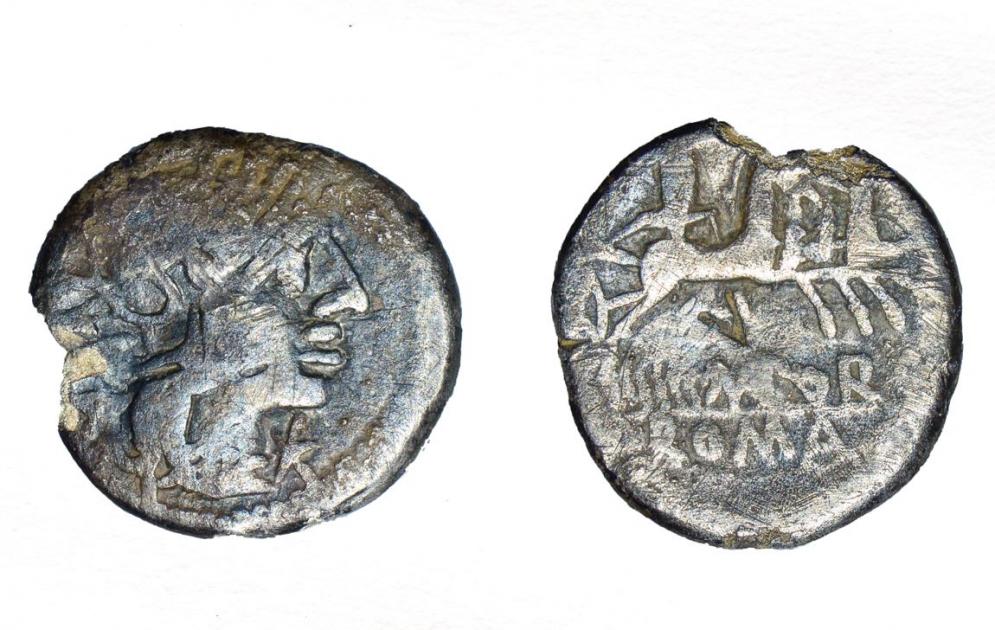 Roman silver denarius hoard unearthed in Herefordshire 
