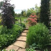 Gardens in Herefordshire village to welcome visitors again