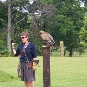 Jemima Parry Jones and a tawny owl at the International Birds of Prey Centre