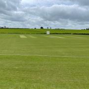 Ledbury Cricket Club victorious
