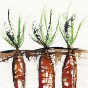 Carrots by Lesley Brankin