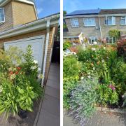 Jill Street will take home the top prize for her garden in Lakeside