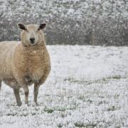 Met Office weather: is snow coming to Herefordshire?