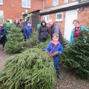 Scouts collecting Christmas trees for charity