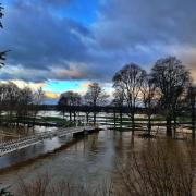 The river Wye in flood in Hereford this week. Picture: Andreia Andreia