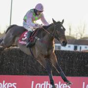 Herefordshire trainer's Cheltenham hopes lie with Royale Pigalle in Gold Cup