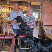 Landlords Chris and Heather with some of the Oak's regular dog guests