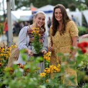 Malvern Autumn Show..Picture by Mikal Ludlow Photography.Tel; 07855177205.25-9-21.