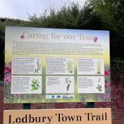 Town Trail Info Board