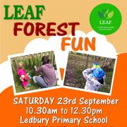 Forest fun day