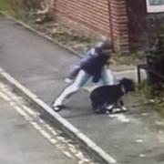Birt was captured on CCTV attacking his dog