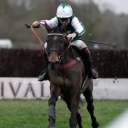 L’Homme Presse is on course for the Cheltenham Gold Cup