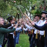 Members of the public joined Leominster Morris dancing in the orchard at Gregg's Pitt. (41873486)