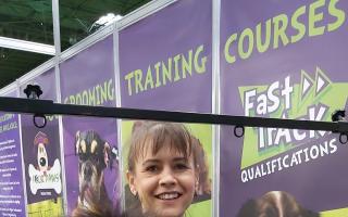 Four Paws at Crufts