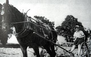 Turning hay at Aston Ingham in 1942